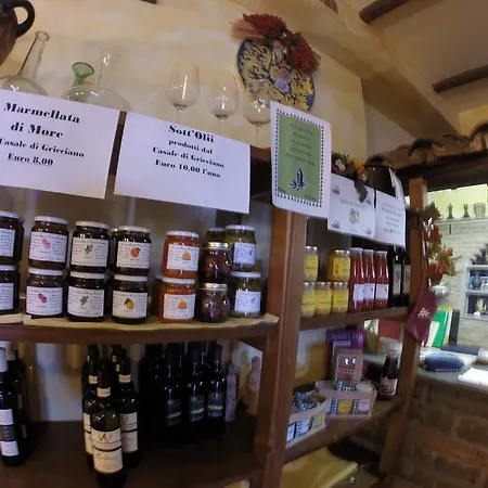 Agriturismo Casale Di Gricciano Gospodarstwo agroturystyczne *