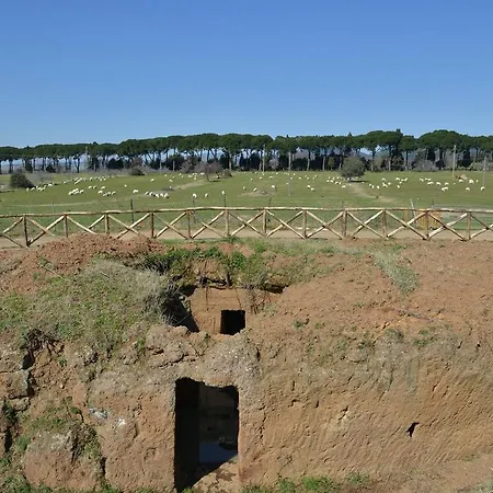 Casale Di Gricciano Alojamento de Turismo Rural *